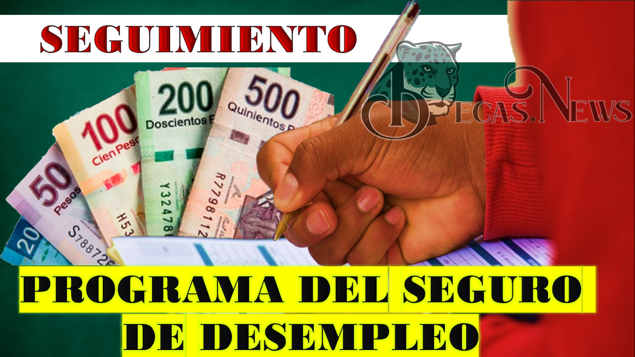 ¡¡CONOCE el SEGUIMIENTO de los pagos del SEGURO DE DESEMPLEO!!