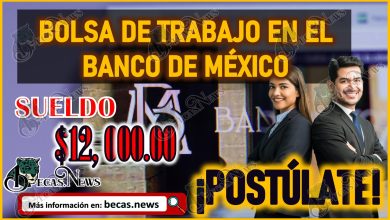 Bolsa de Empleo en el Banco de México ¡Postúlate y gana $12 mil pesos!