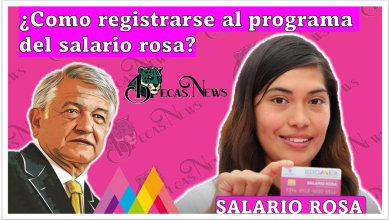 Salario Rosa: ¿Como registrarse al programa del salario rosa?
