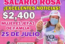 Salario Rosa ¡Buenas Noticias Madres Jefas de Familia! Gobernador Anuncia un comunicado Importante Apoyo económico extra