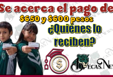 Se acerca el pago de $650 y $600 pesos...¿Quiénes lo reciben?