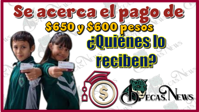 Se acerca el pago de $650 y $600 pesos...¿Quiénes lo reciben?