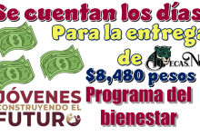 ▷ Se cuentan los días para la entrega de $8,480 pesos | Programa del bienestar  » 2025 BECAS.NEWS 🥇 Se cuentan los días para la entrega de $8,480 pesos | Programa del bienestar