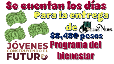 ▷ Se cuentan los días para la entrega de $8,480 pesos | Programa del bienestar  » 2025 BECAS.NEWS 🥇 Se cuentan los días para la entrega de $8,480 pesos | Programa del bienestar