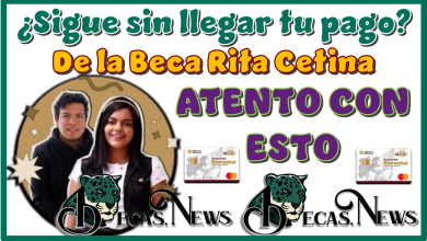 ¿Sigue sin llegar tu pago de la Beca Rita Cetina?…ATENTO CON ESTO