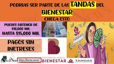 ¿TE GUSTARÍA ESTAR DENTRO DE UNA TANDA DEL BIENESTAR Y QUE ES LO QUE NECESITAS PARA ESTAR DENTRO DE ÉL?