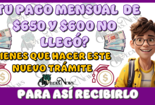 ¿TU PAGO MENSUAL DE $650 Y $600 NO LLEGÓ? | TIENES QUÉ HACER ESTE NUEVO TRÁMITE PARA ASÍ RECIBIRLO 