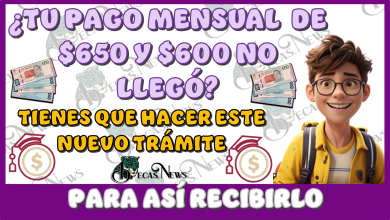 ¿TU PAGO MENSUAL DE $650 Y $600 NO LLEGÓ? | TIENES QUÉ HACER ESTE NUEVO TRÁMITE PARA ASÍ RECIBIRLO 