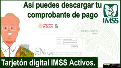 Así puedes descargar tu comprobante de pago: Tarjetón digital IMSS Activos.