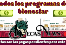 Todos los programas del bienestar | Estos son los pagos pendientes para este año