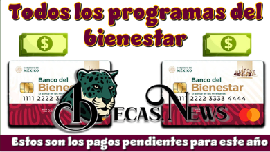 Todos los programas del bienestar | Estos son los pagos pendientes para este año