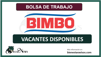 Trabajar en grupo Bimbo