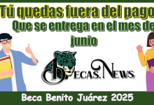 ¿Tú quedas fuera del pago que se entrega en el mes de junio? | Beca Benito Juárez 2025 