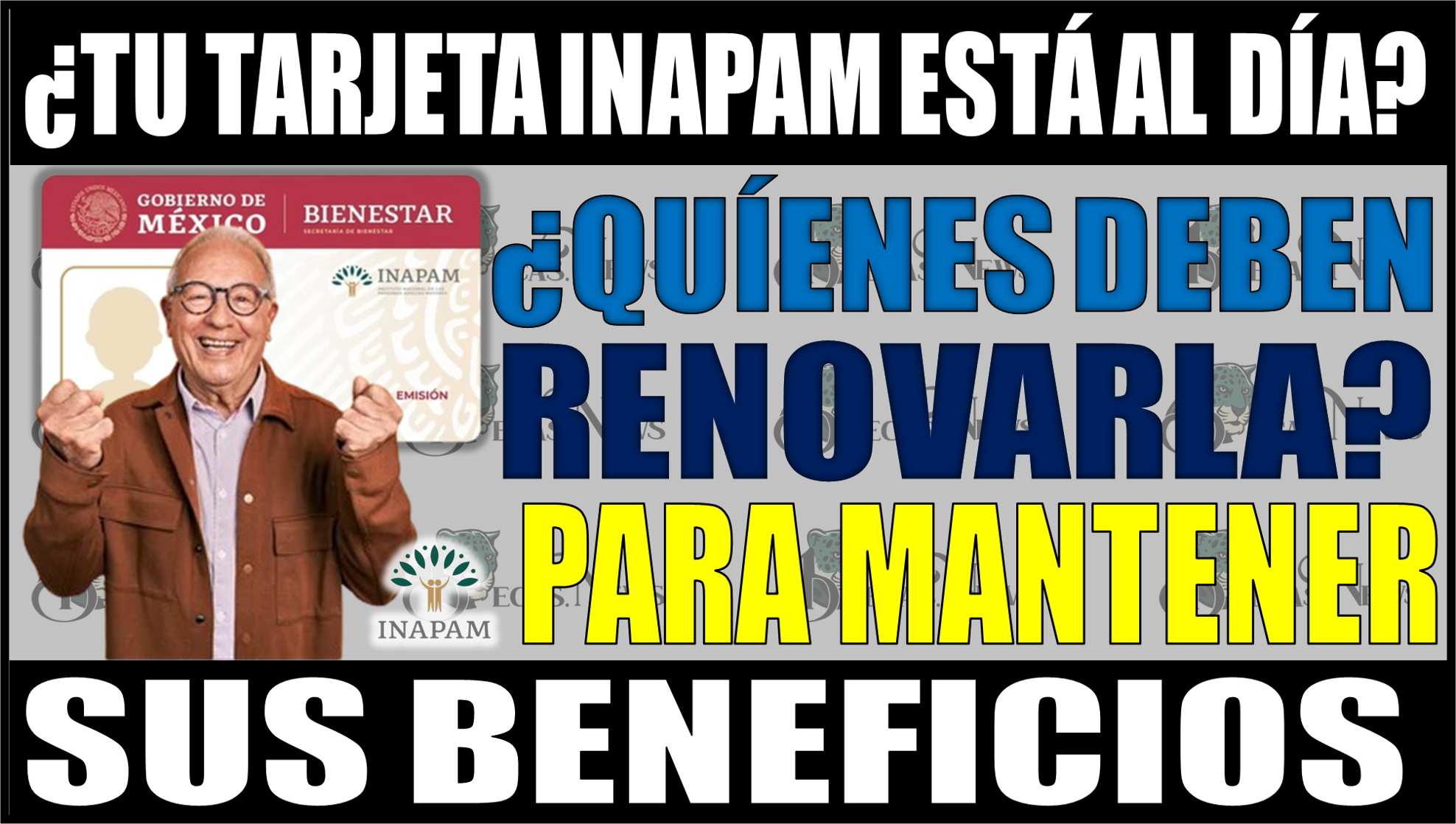 ¿Tu tarjeta INAPAM está al día? Conoce quiénes deben renovarla para mantener sus beneficios