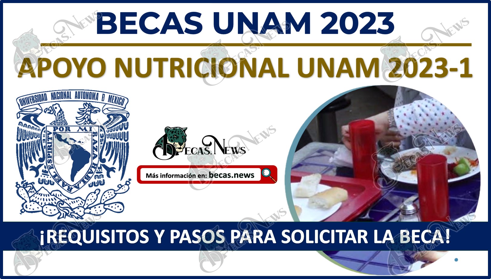 Apoyo Nutricional UNAM 2023 | Requisitos y pasos para solicitar la beca
