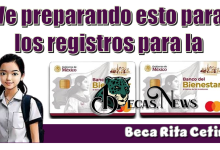 Ve preparando esto para los registros para la Beca Rita Cetina