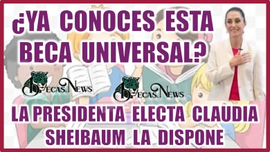 ¿YA CONOCES ESTA BECA UNIVERSAL?... LA PRESIDENTA ELECTA CLAUDIA SHEINBAUM LA DISPONE