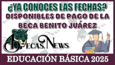 ¿YA CONOCES LAS FECHAS DISPONIBLES DE PAGO DE LA BECA BENITO JUÁREZ DE LA EDUCACIÓN BÁSICA DEL 2025?