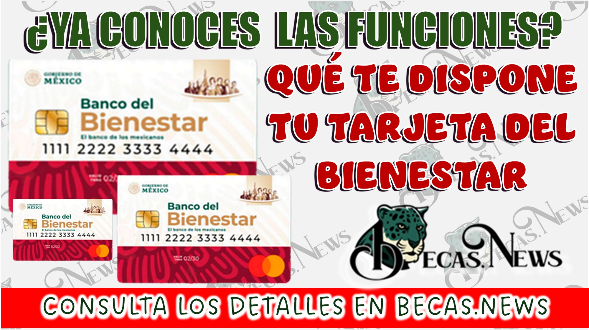 ¿YA CONOCES LAS FUNCIONES QUÉ TE DISPONE TU TARJETA DEL BIENESTAR?