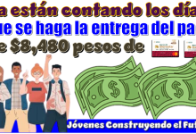 Ya están contando los días para que se haga la entrega del pago de $8,480 pesos de Jóvenes Construyendo el Futuro