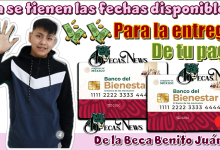 ¿Ya se tienen las fechas disponibles para la entrega de tu pago de la Beca Benito Juárez?