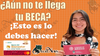 😱😱 Atención alumnos de las Becas Benito Juárez, ¿Aún no recibes tu Beca?, ¡ESTOS ES LO QUE DEBES HACER! 🚨🚨