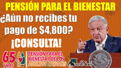 😱😱 Pensión Bienestar: ¿Aún no recibes tu PAGO de $4 mil 800 pesos?, ¡¡AQUÍ TE EXPLICAMOS!! 😱🚨
