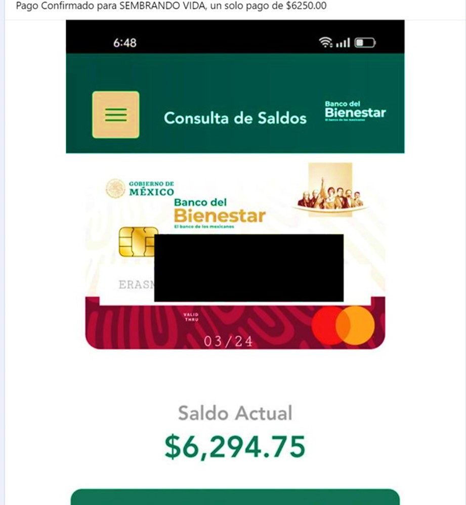 Imagen 1: Captura de pantalla del saldo de beneficiario con su depósito ya reflejado correspondiente al mes de abril