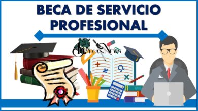 Beca de Servicio Profesional 2021-2022: Convocatoria, Registro y Requisitos