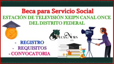 Beca para Servicio Social Estación de Televisión XEIPN Canal Once del Distrito Federal 2022-2023 Convocatoria, Registro y Requisitos