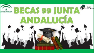 Becas 99 Junta Andalucía: Convocatoria, Registro y Requisitos