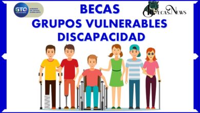 Becas grupos vulnerables discapacidad: Convocatoria, Registro y Requisitos
