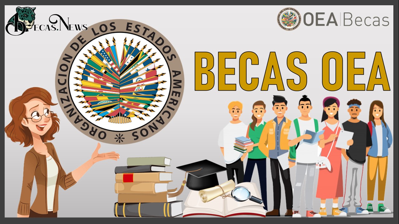 Becas OEA México 20232024 BECAS.NEWS