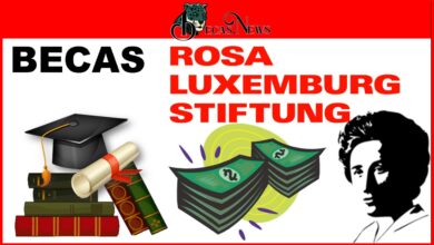Becas Rosa Luxemburgo: Convocatoria, Registro y Requisitos