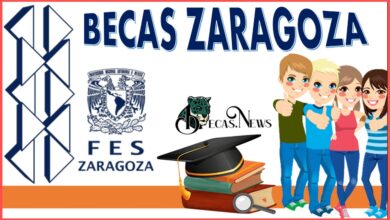 Becas Zaragoza: Convocatoria, Registro y Requisitos