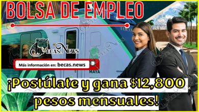Bolsa de trabajo Tren Maya | ¡Postúlate y gana $12,800 pesos mensuales!