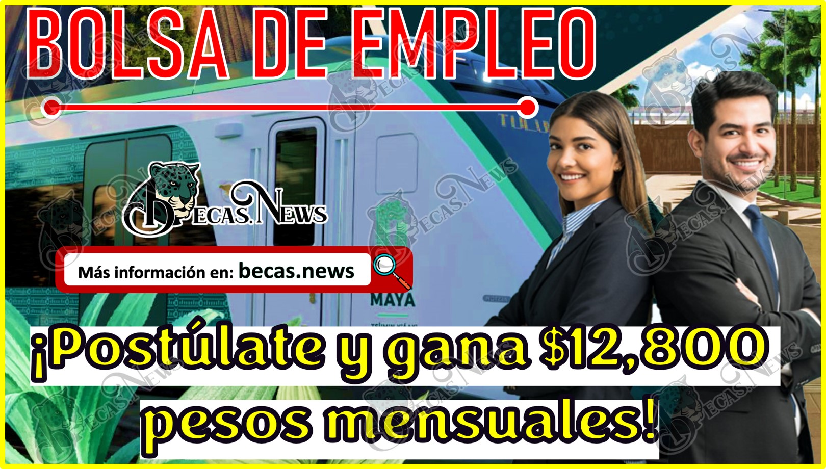 Bolsa de trabajo Tren Maya | ¡Postúlate y gana $12,800 pesos mensuales!