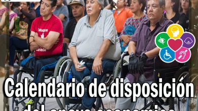 Calendario de disposición del apoyo economico para los beneficiarios del Programa de Pensión Bienestar para Personas con Discapacidad 