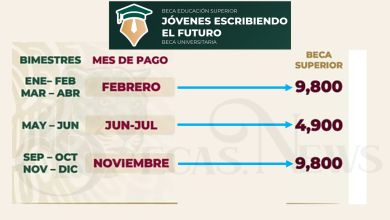 Cuándo Se Realiza El Pago De La Beca Jóvenes Escribiendo El Futuro