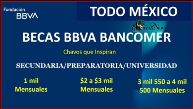 Becas BBVA 2022-2023: Convocatoria, Registro y Requisitos