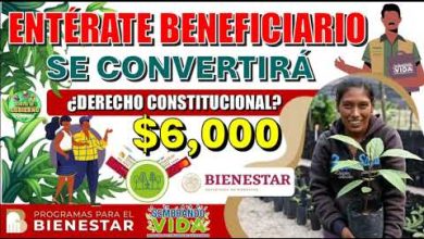 🤯🔊¡¿SE QUEDARÁ COMO DERECHO CONSTITUCIONAL?!🤯🔊 PROGRAMA SEMBRANDO VIDA ¡ENTÉRATE Y RECIBE $6,000!