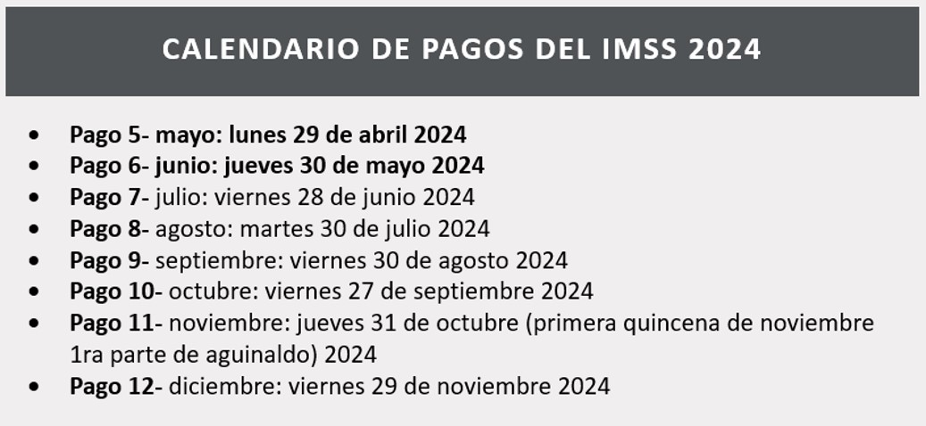Calendario de Pagos del IMSS 2024 