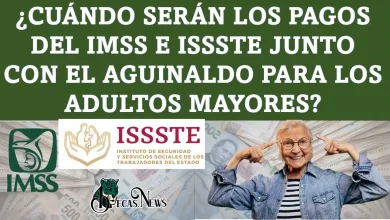 ¿Cuándo serán los pagos del IMSS E ISSSTE junto con el aguinaldo para los adultos mayores?