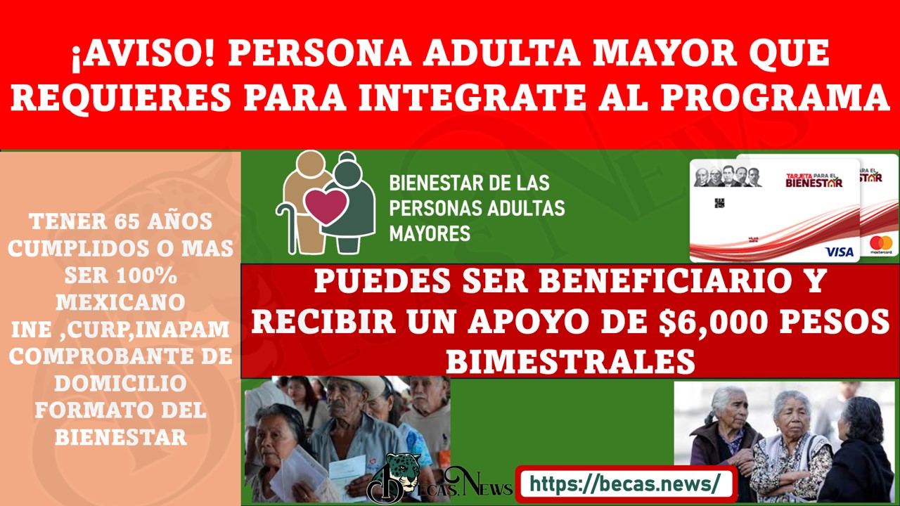 ¿Pensión de Adultos Mayores Como puedes recibir este Apoyo?