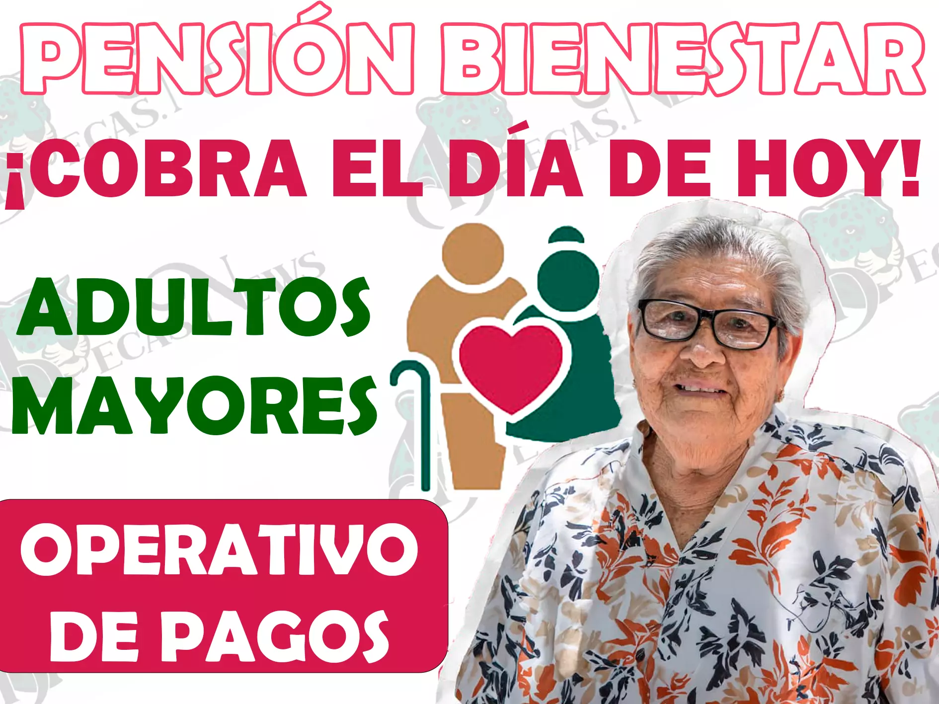 ¡ENTERATE! ESTOS LOS ABUELITOS QUE COBRAN SU PAGO EL DÍA DE HOY|PENSIÓN BIENESTAR