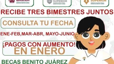 ¡Aviso de pagos! Recibe 3 bimestres juntos: Becas Benito Juárez 2024