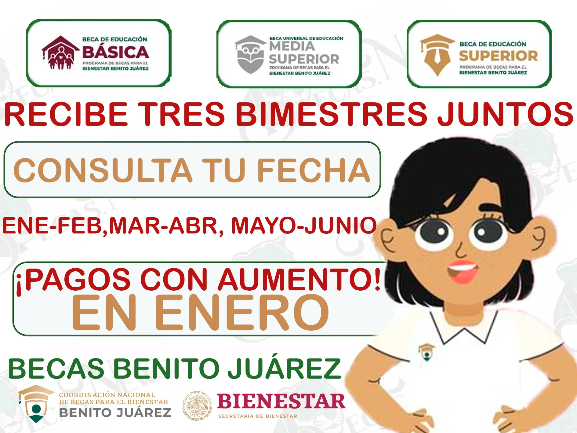 ¡Aviso de pagos! Recibe 3 bimestres juntos: Becas Benito Juárez 2024