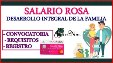 Salario Rosa por el Desarrollo Integral de la Familia 2022-2023: Convocatoria, Registro y Requisitos