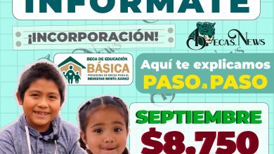 ¡Apoyo de hasta $8,750 pesos, alumnos de nivel básico!, así podrás solicitarlo y recibirlos en los próximos meses: Becas Benito Juárez