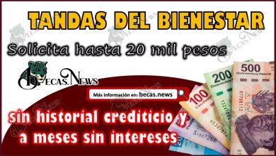 Tandas Bienestar 2024 | Solicita hasta 20 mil pesos son historial crediticio y a meses sin intereses.